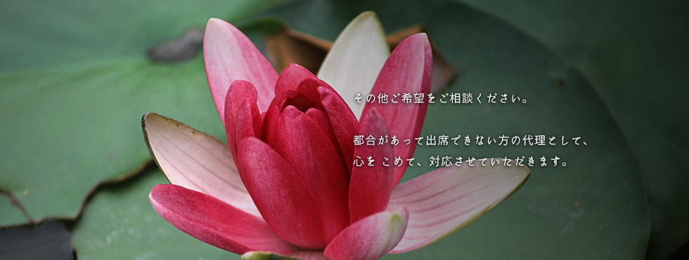 proxy_img09